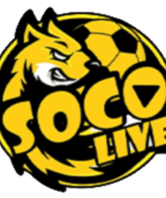 avatar SocoliveTV Immo