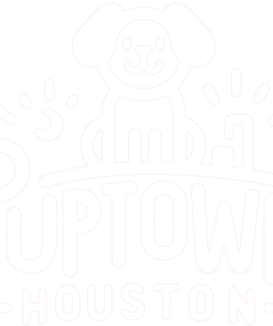 avatar Puptown Houston Dog Training