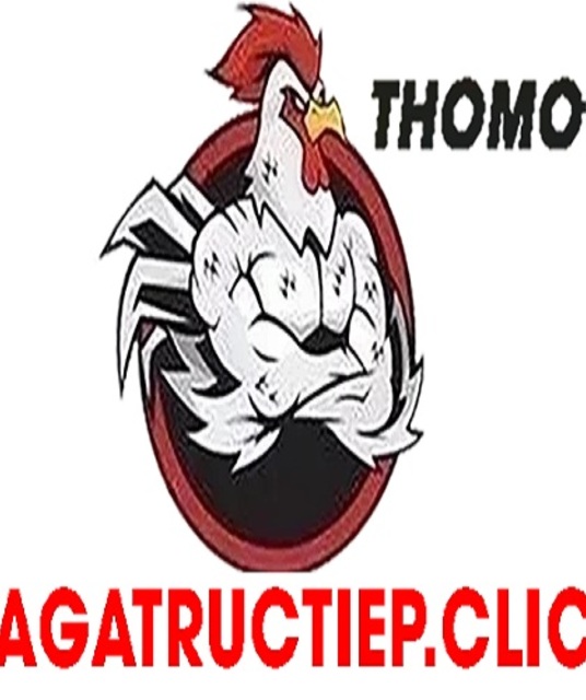 avatar ĐÁ GÀ TRỰC TIẾP CLICK