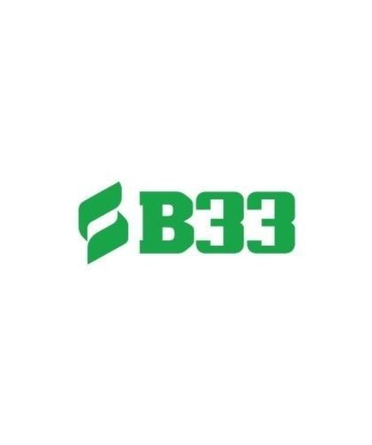 avatar B33