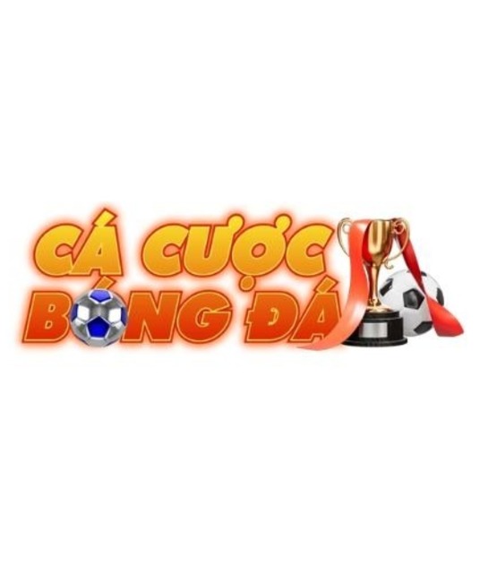 avatar Trangcacuocbongda bio