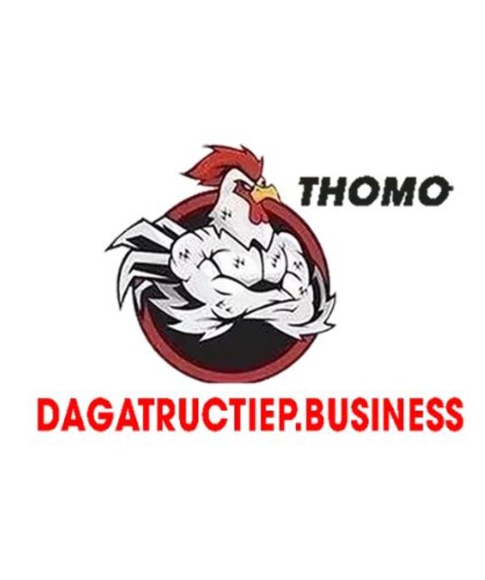 avatar ĐÁ GÀ TRỰC TIẾP BUSINESS