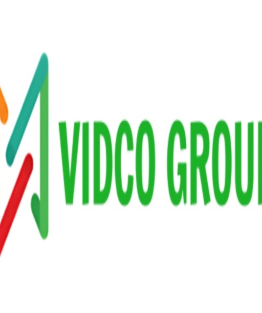 avatar Vidco Group