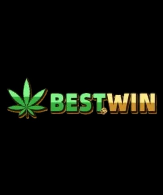 avatar bestwin