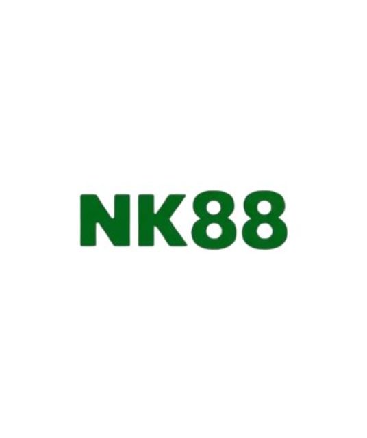 avatar Nk8868live