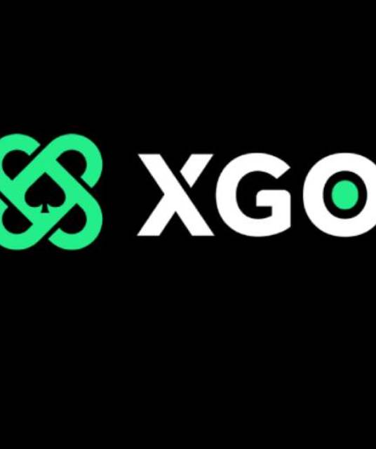 avatar XGo Game
