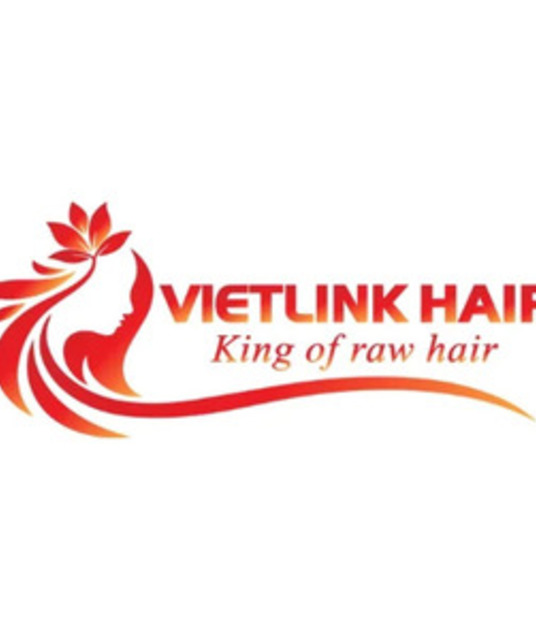 avatar Vietlink Hair